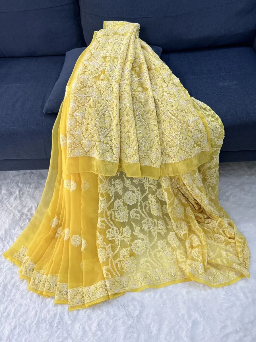 Half Jaal Chikankari Hand Embroidered Women's Saree