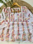 Resham Chikankari Hand Embroidered Women's Anarkali Kurta