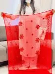 Red Chikankari Aari Dupatta