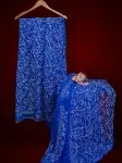 Tapchi Chikankari Hand Embroidered Women's Saree
